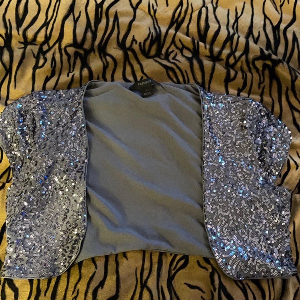 Silver Sparkly cardigan. Express